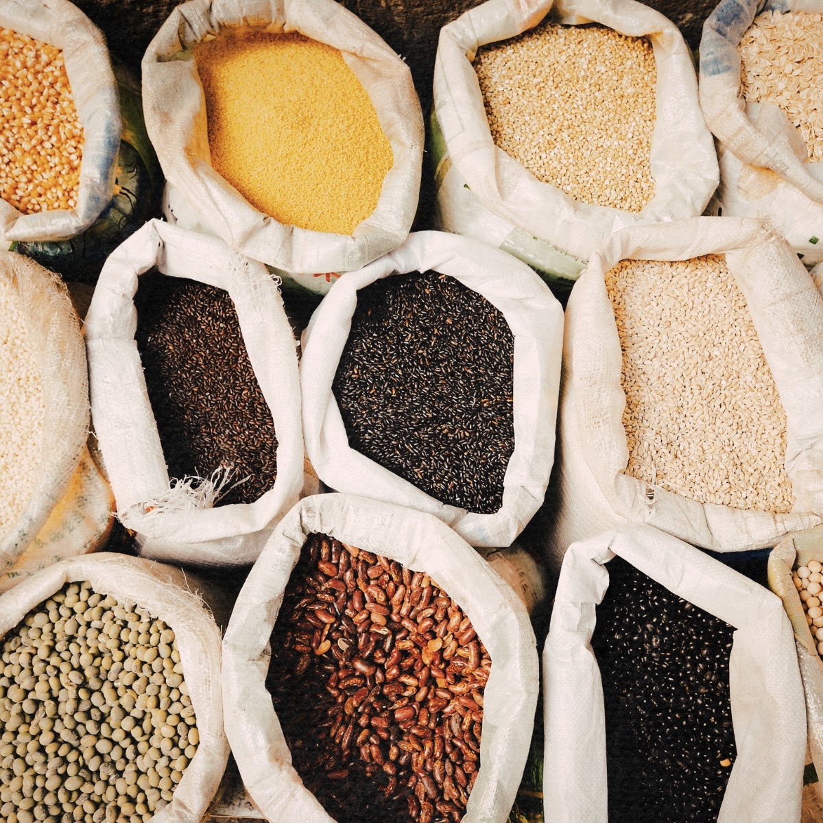 Walk into a New England farmhouse kitchen from a hundred years ago and you'd find grains everywhere—cornmeal for johnnycakes, wheat berries soaking for porridge, rye flour for dense winter bread. Our ancestors understood something we're just remembering: grains are the foundation of human civilization.
Understanding grains means understanding the science of why some get fluffy and others get sticky. It's about starch—specifically amylose and amylopectin. Grains high in amylose (like basmati rice) cook up fluffy with separate grains. Grains high in amylopectin (like sushi rice or arborio) get sticky and clumpy—perfect for risotto or rice balls.
This comprehensive guide covers rice (the grain that feeds half the world), wheat (that built Western civilization), corn (the grain of the Americas), plus oats, barley, rye, quinoa, amaranth, buckwheat, millet, farro, freekeh, and bulgur.
Learn the science behind cooking each grain perfectly, storage tips to prevent rancidity and pests, the cultural significance of grains that shaped entire civilizations, and why the modern grain renaissance matters for agricultural diversity and flavor.
Every major civilization built itself around a grain. The grain shaped not just cuisine but culture, religion, and daily life. Understanding these connections enriches our appreciation of both food and history.
Complete guide on the blog—from ancient seeds to modern tables ✨
Link in LinkTree or search on website!
#grains #ancientgrains #rice #wheat #corn #cookingtechnique #foodscience #kitchenskills #cookinglessons #homecooking #wholegrains